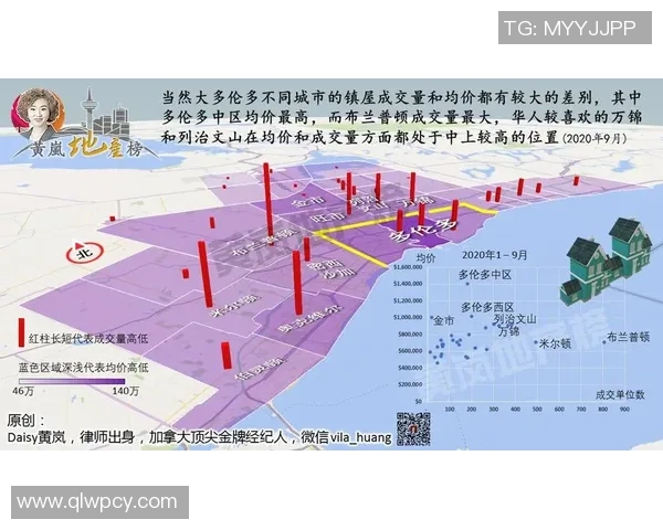 独家分析：成都乒乓球队的技术对比
