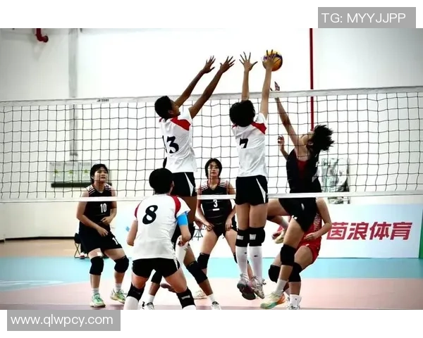 专业解读：上海排球队的节奏打法